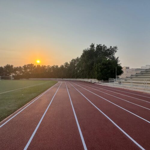 WhatsApp Image 2026-03-17 at 06.24.12